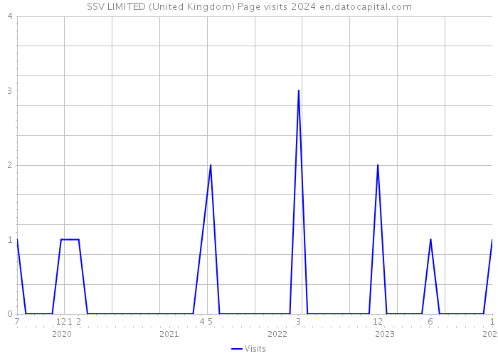 SSV LIMITED (United Kingdom) Page visits 2024 