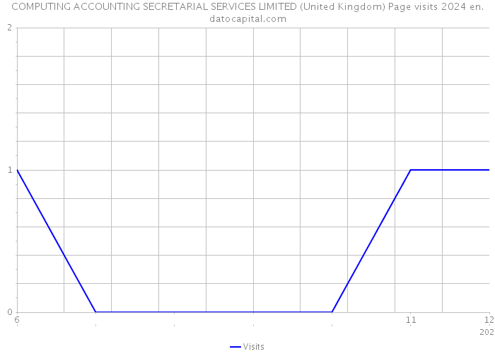 COMPUTING ACCOUNTING SECRETARIAL SERVICES LIMITED (United Kingdom) Page visits 2024 