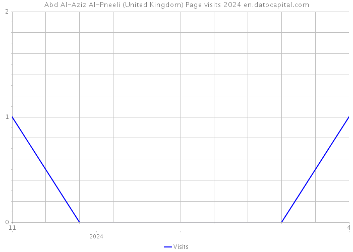 Abd Al-Aziz Al-Pneeli (United Kingdom) Page visits 2024 