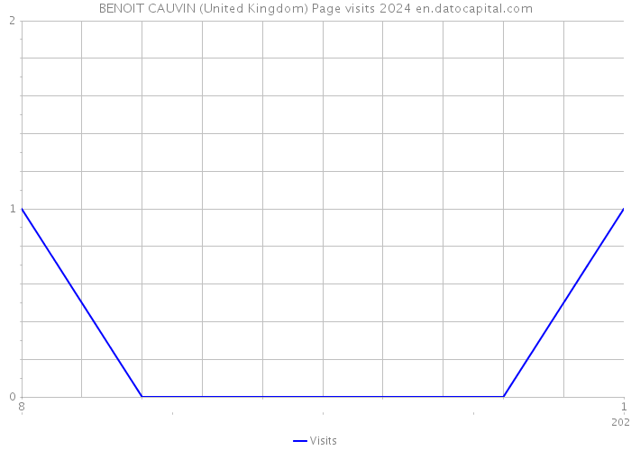 BENOIT CAUVIN (United Kingdom) Page visits 2024 