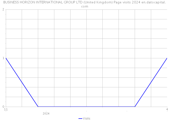 BUSINESS HORIZON INTERNATIONAL GROUP LTD (United Kingdom) Page visits 2024 