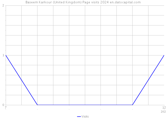 Baseem Karkour (United Kingdom) Page visits 2024 