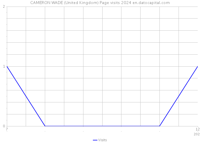 CAMERON WADE (United Kingdom) Page visits 2024 