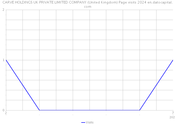 CARVE HOLDINGS UK PRIVATE LIMITED COMPANY (United Kingdom) Page visits 2024 