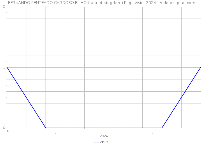 FERNANDO PENTEADO CARDOSO FILHO (United Kingdom) Page visits 2024 