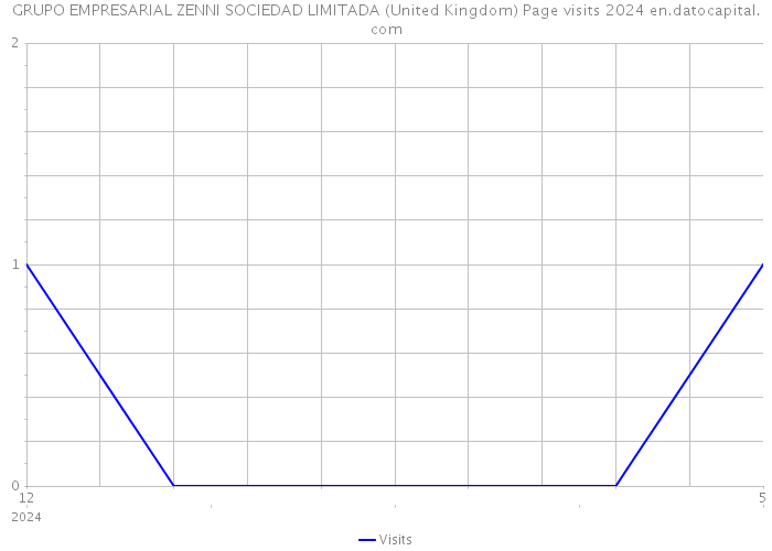 GRUPO EMPRESARIAL ZENNI SOCIEDAD LIMITADA (United Kingdom) Page visits 2024 
