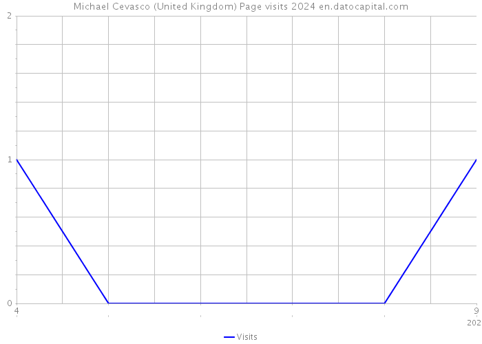 Michael Cevasco (United Kingdom) Page visits 2024 