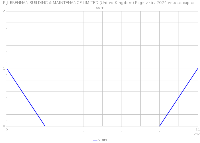 P.J. BRENNAN BUILDING & MAINTENANCE LIMITED (United Kingdom) Page visits 2024 