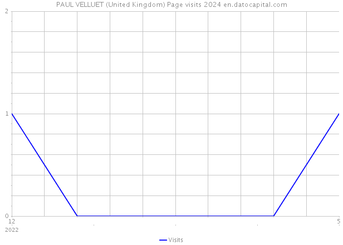 PAUL VELLUET (United Kingdom) Page visits 2024 