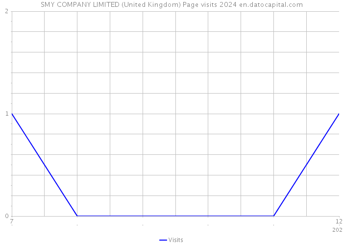 SMY COMPANY LIMITED (United Kingdom) Page visits 2024 