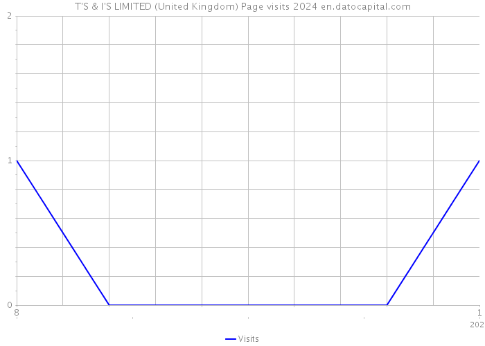 T'S & I'S LIMITED (United Kingdom) Page visits 2024 