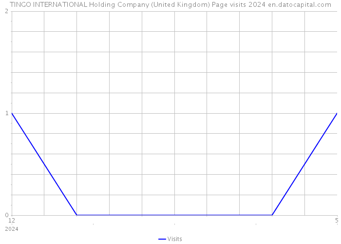 TINGO INTERNATIONAL Holding Company (United Kingdom) Page visits 2024 