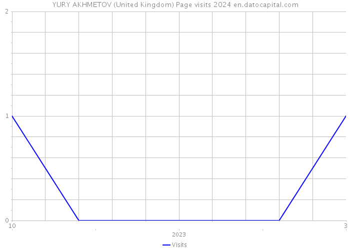 YURY AKHMETOV (United Kingdom) Page visits 2024 