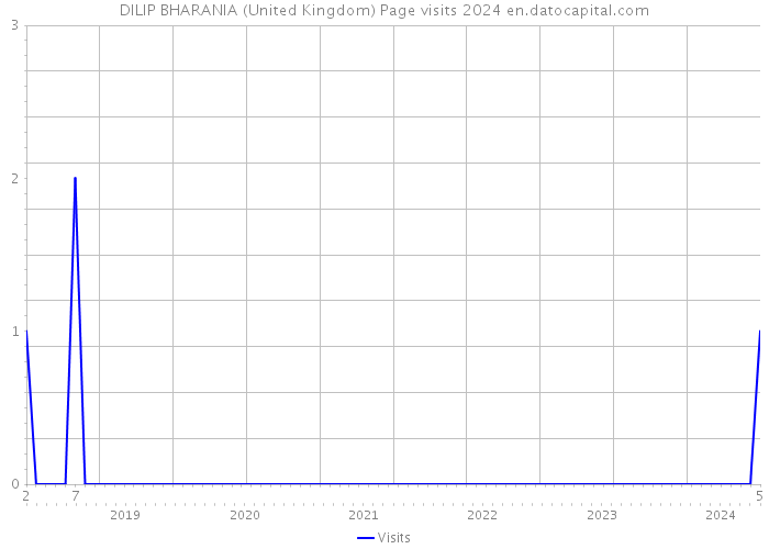 DILIP BHARANIA (United Kingdom) Page visits 2024 