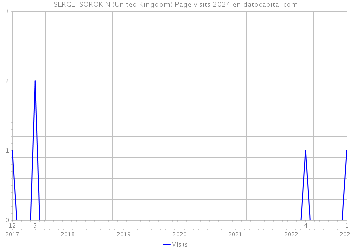 SERGEI SOROKIN (United Kingdom) Page visits 2024 