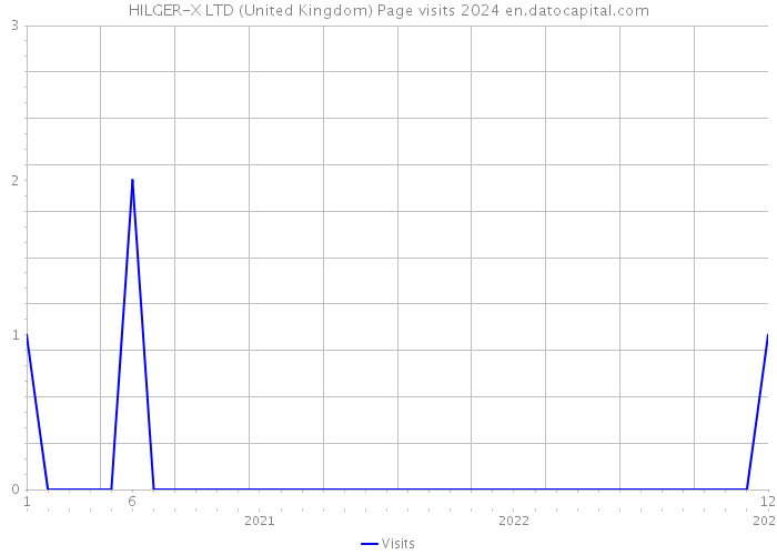 HILGER-X LTD (United Kingdom) Page visits 2024 