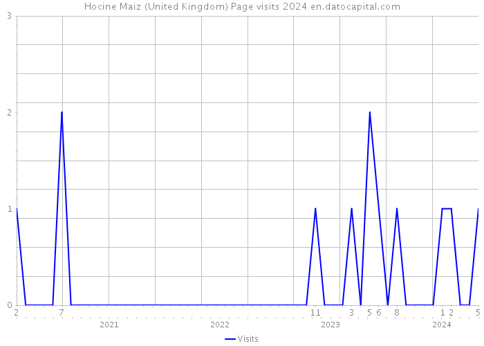 Hocine Maiz (United Kingdom) Page visits 2024 