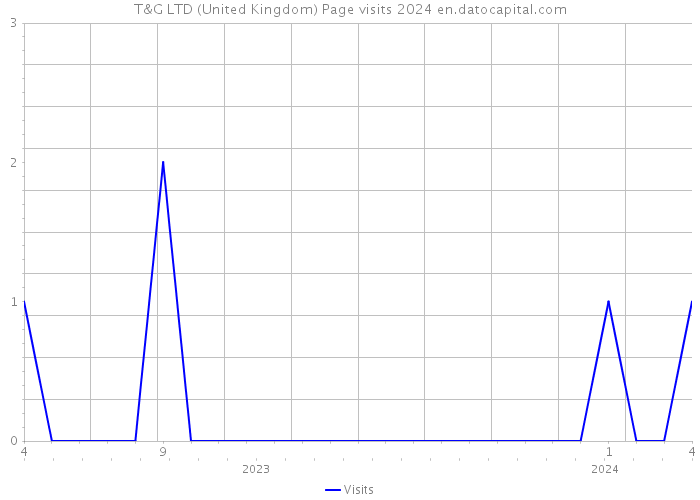 T&G LTD (United Kingdom) Page visits 2024 