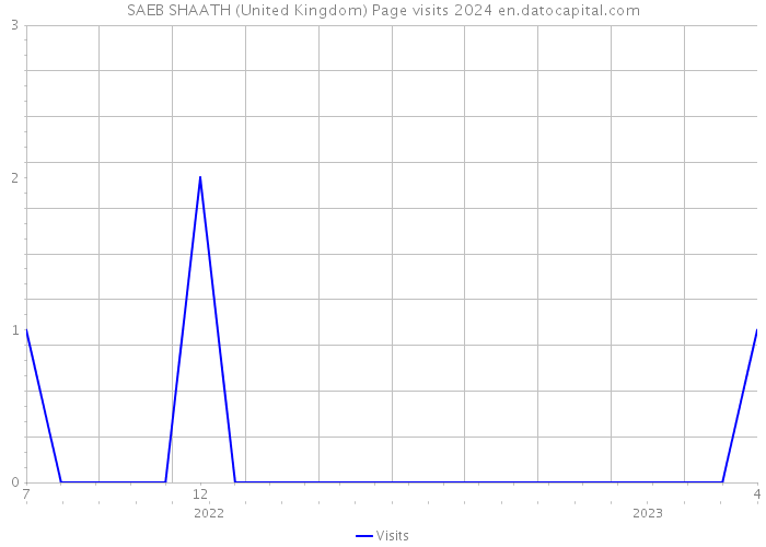 SAEB SHAATH (United Kingdom) Page visits 2024 