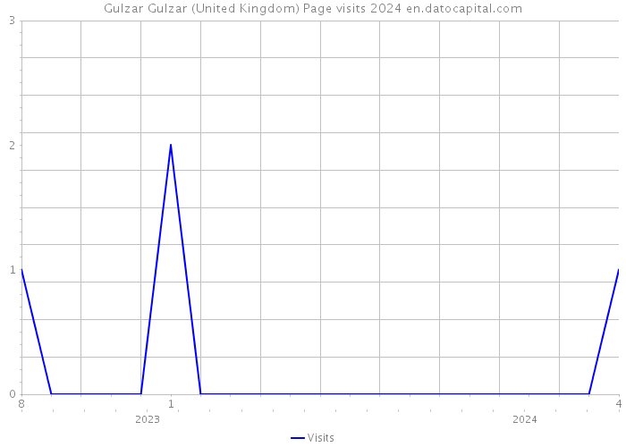 Gulzar Gulzar (United Kingdom) Page visits 2024 