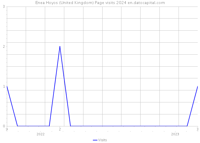 Enea Hoyos (United Kingdom) Page visits 2024 