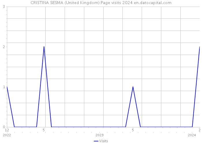 CRISTINA SESMA (United Kingdom) Page visits 2024 