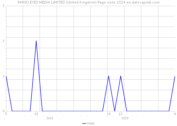 RHINO EYES MEDIA LIMITED (United Kingdom) Page visits 2024 