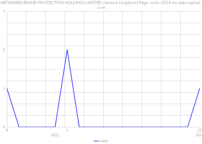 NETNAMES BRAND PROTECTION HOLDINGS LIMITED (United Kingdom) Page visits 2024 