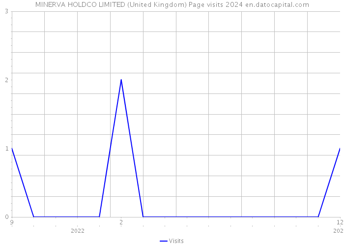MINERVA HOLDCO LIMITED (United Kingdom) Page visits 2024 