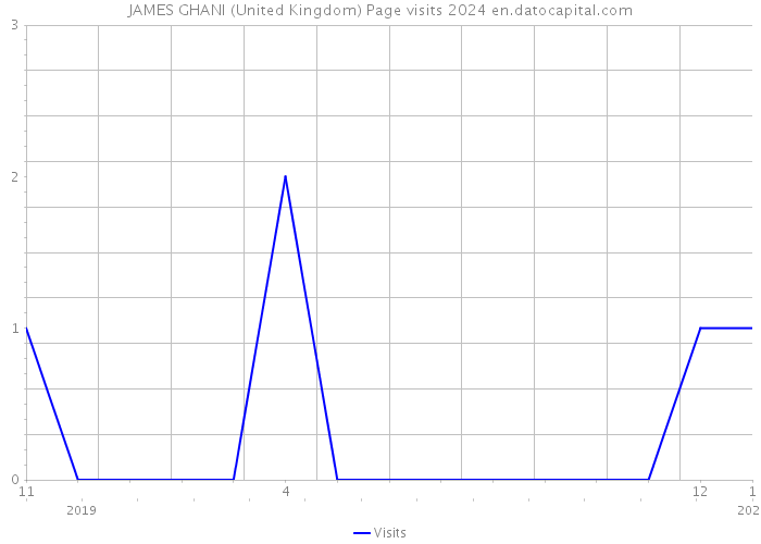 JAMES GHANI (United Kingdom) Page visits 2024 