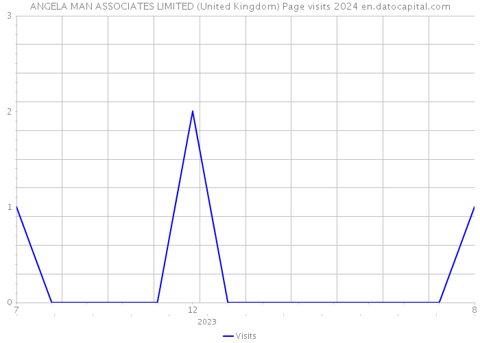 ANGELA MAN ASSOCIATES LIMITED (United Kingdom) Page visits 2024 