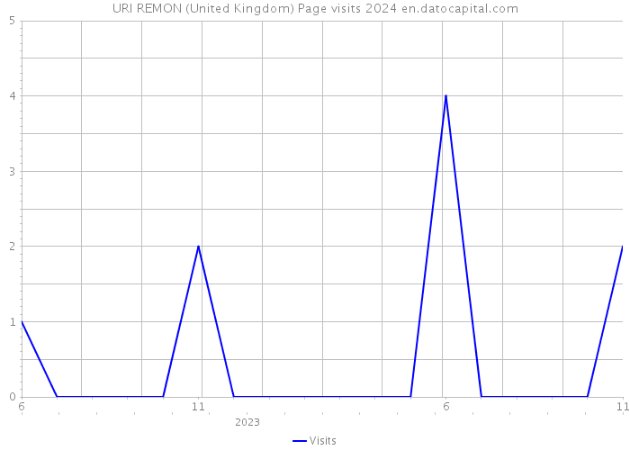 URI REMON (United Kingdom) Page visits 2024 