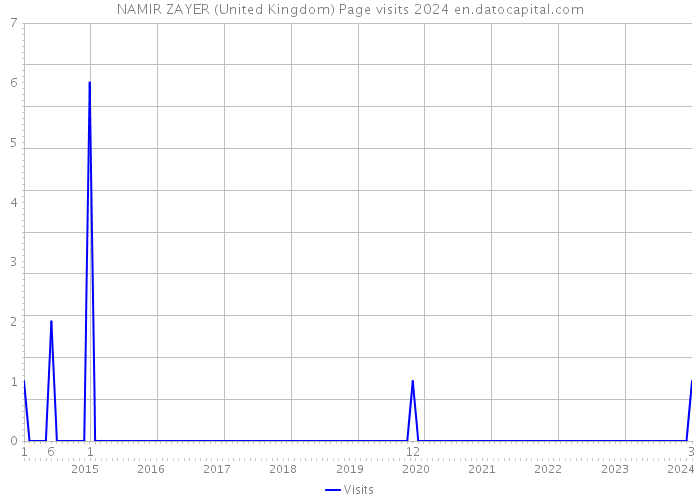 NAMIR ZAYER (United Kingdom) Page visits 2024 
