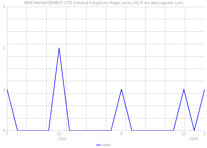 BME MANAGEMENT LTD (United Kingdom) Page visits 2024 