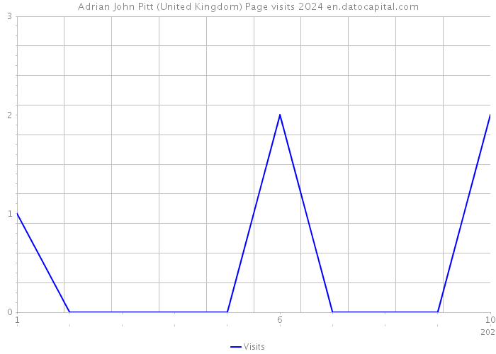 Adrian John Pitt (United Kingdom) Page visits 2024 