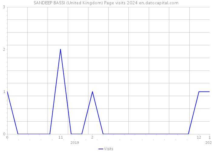 SANDEEP BASSI (United Kingdom) Page visits 2024 
