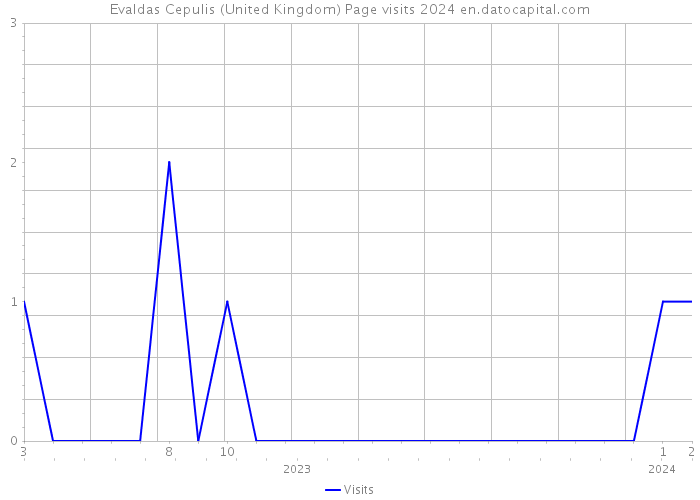Evaldas Cepulis (United Kingdom) Page visits 2024 