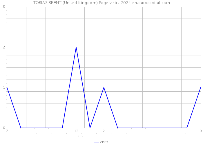 TOBIAS BRENT (United Kingdom) Page visits 2024 