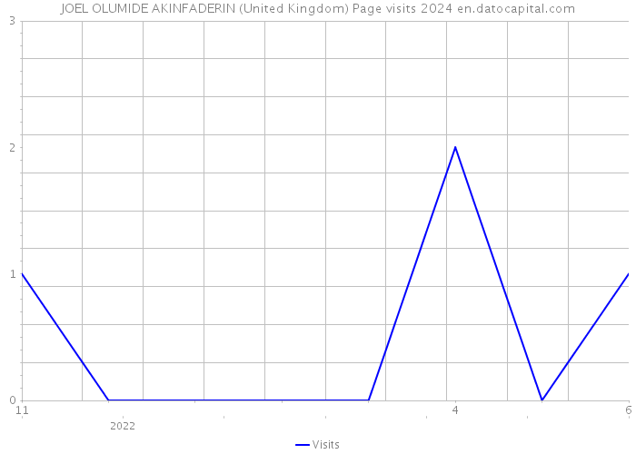 JOEL OLUMIDE AKINFADERIN (United Kingdom) Page visits 2024 