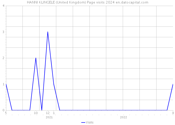 HANNI KLINGELE (United Kingdom) Page visits 2024 