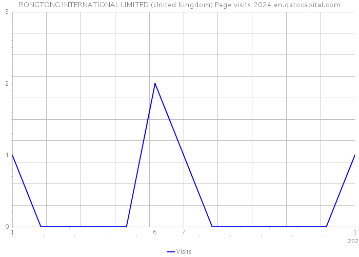 RONGTONG INTERNATIONAL LIMITED (United Kingdom) Page visits 2024 