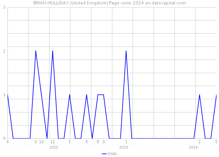 BRIAN HOLLIDAY (United Kingdom) Page visits 2024 