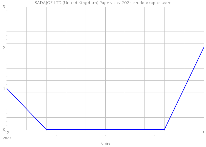 BADAJOZ LTD (United Kingdom) Page visits 2024 
