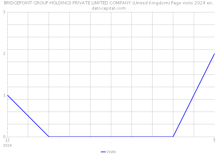 BRIDGEPOINT GROUP HOLDINGS PRIVATE LIMITED COMPANY (United Kingdom) Page visits 2024 