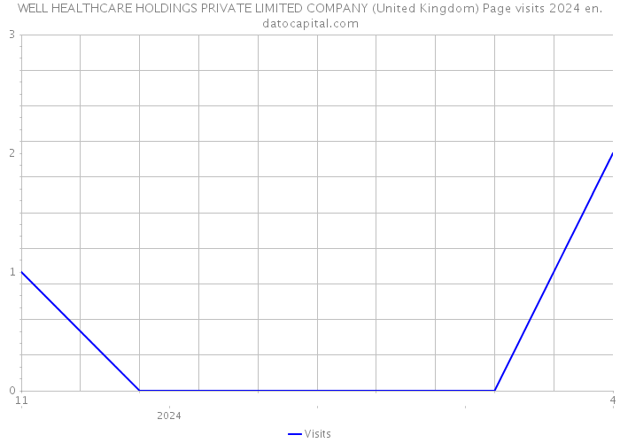 WELL HEALTHCARE HOLDINGS PRIVATE LIMITED COMPANY (United Kingdom) Page visits 2024 