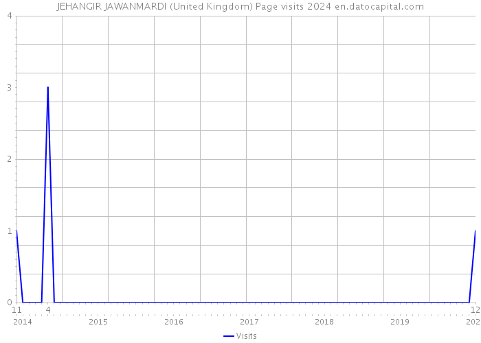 JEHANGIR JAWANMARDI (United Kingdom) Page visits 2024 