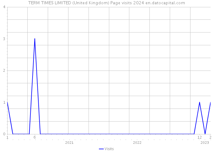 TERM TIMES LIMITED (United Kingdom) Page visits 2024 