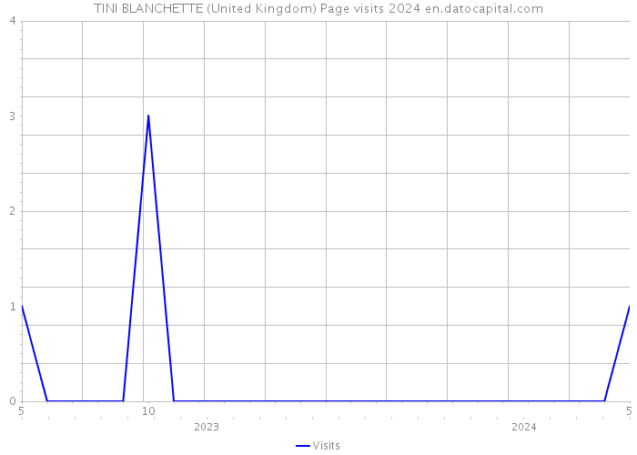 TINI BLANCHETTE (United Kingdom) Page visits 2024 