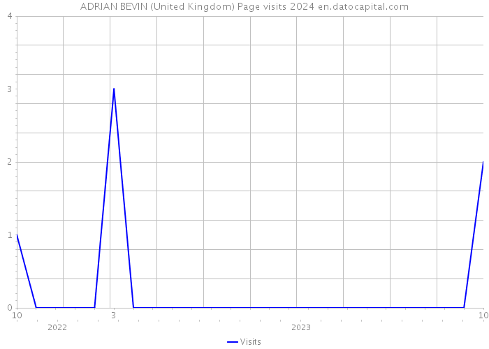 ADRIAN BEVIN (United Kingdom) Page visits 2024 