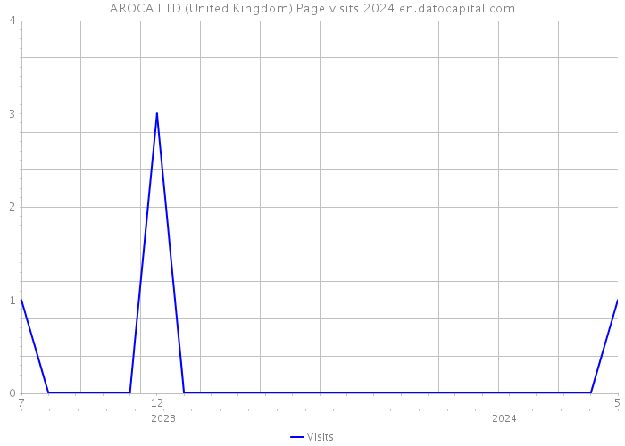 AROCA LTD (United Kingdom) Page visits 2024 